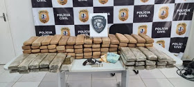 Polícia apreende 100 quilos de maconha na cidade de Miranda do Norte